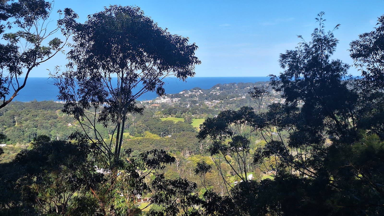 Kincumba Mountain Reserve - Image 1
