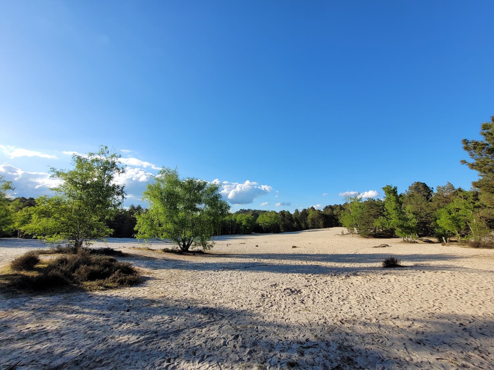 Cul de Chien and Bilboquet - Image 1