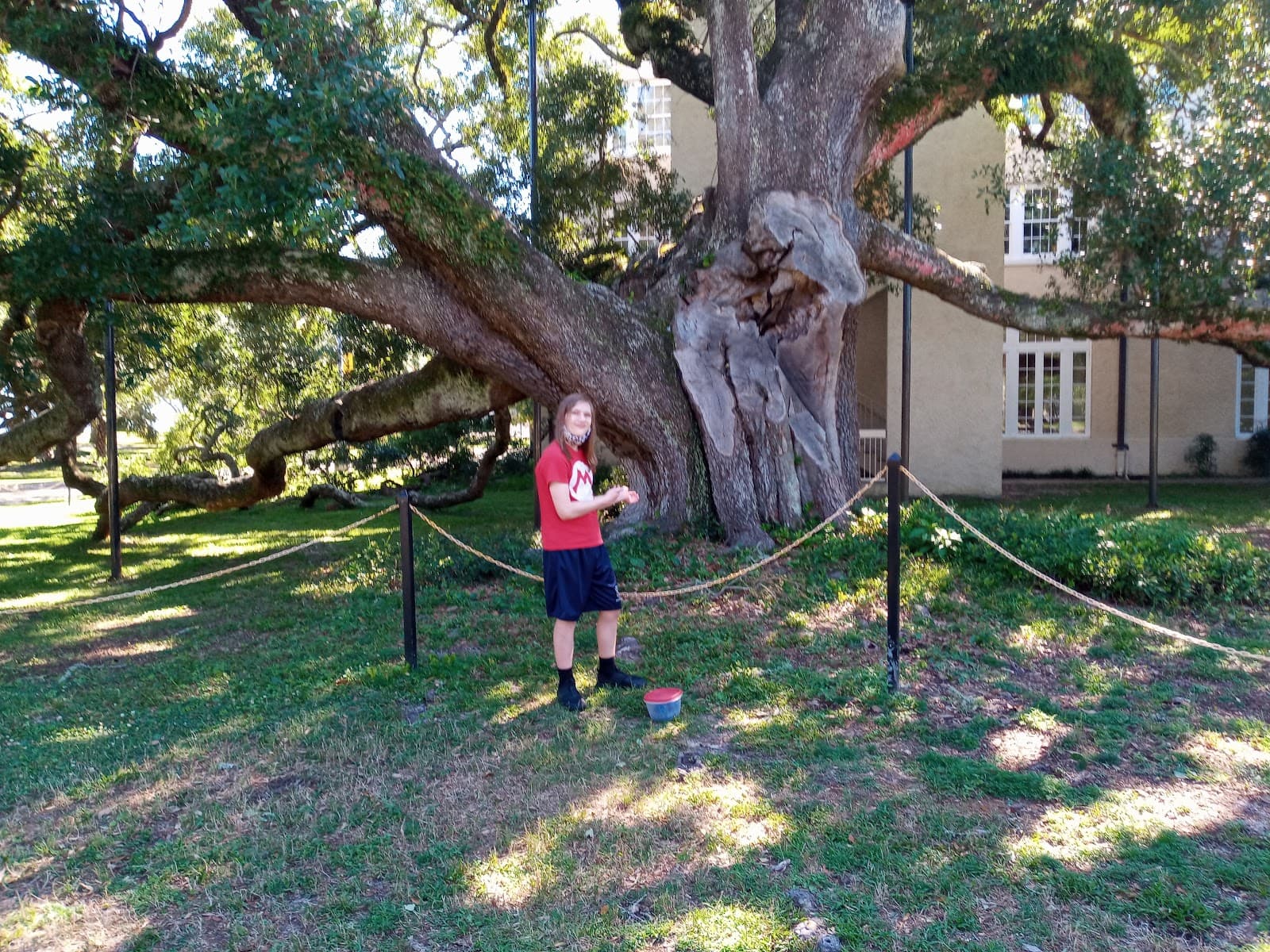 Friendship Oak (Long Beach) - Image 1