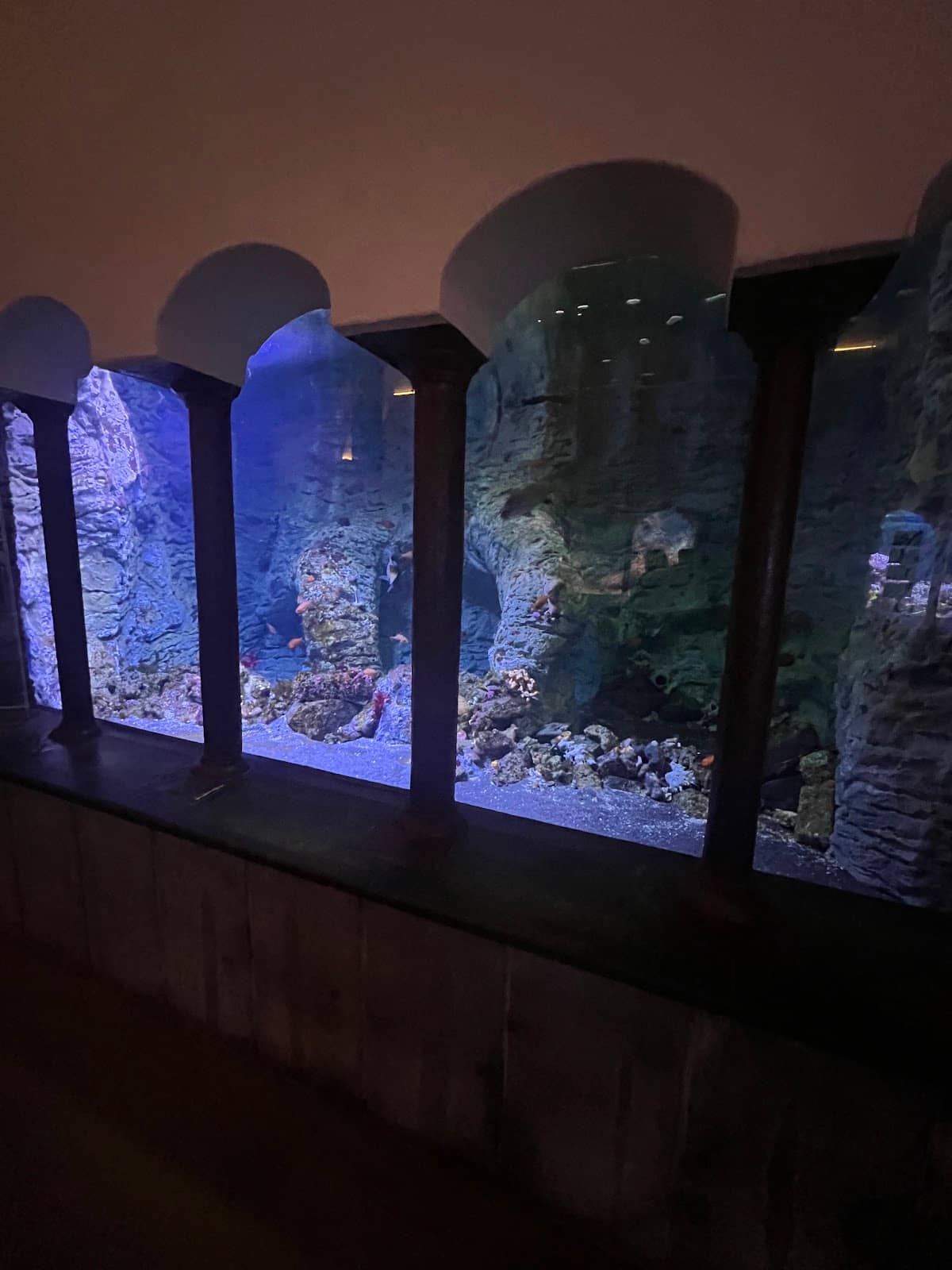 Oceanographic Museum Connection