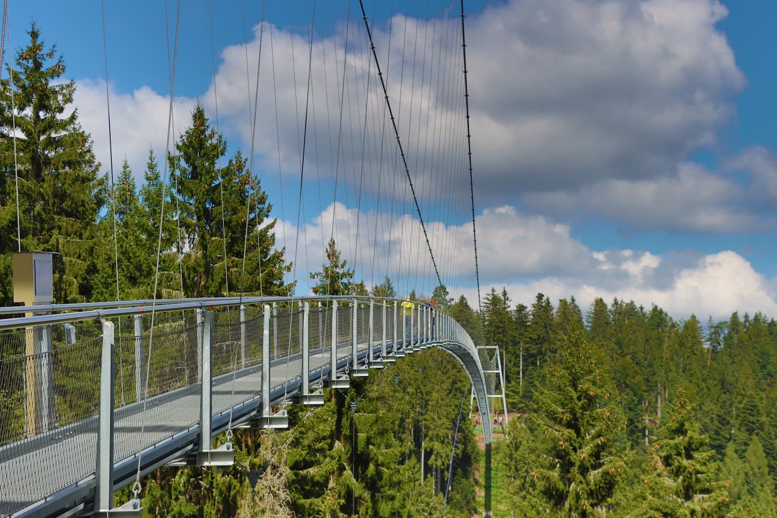 WildLine Bridge Bad Wildbad - Image 1