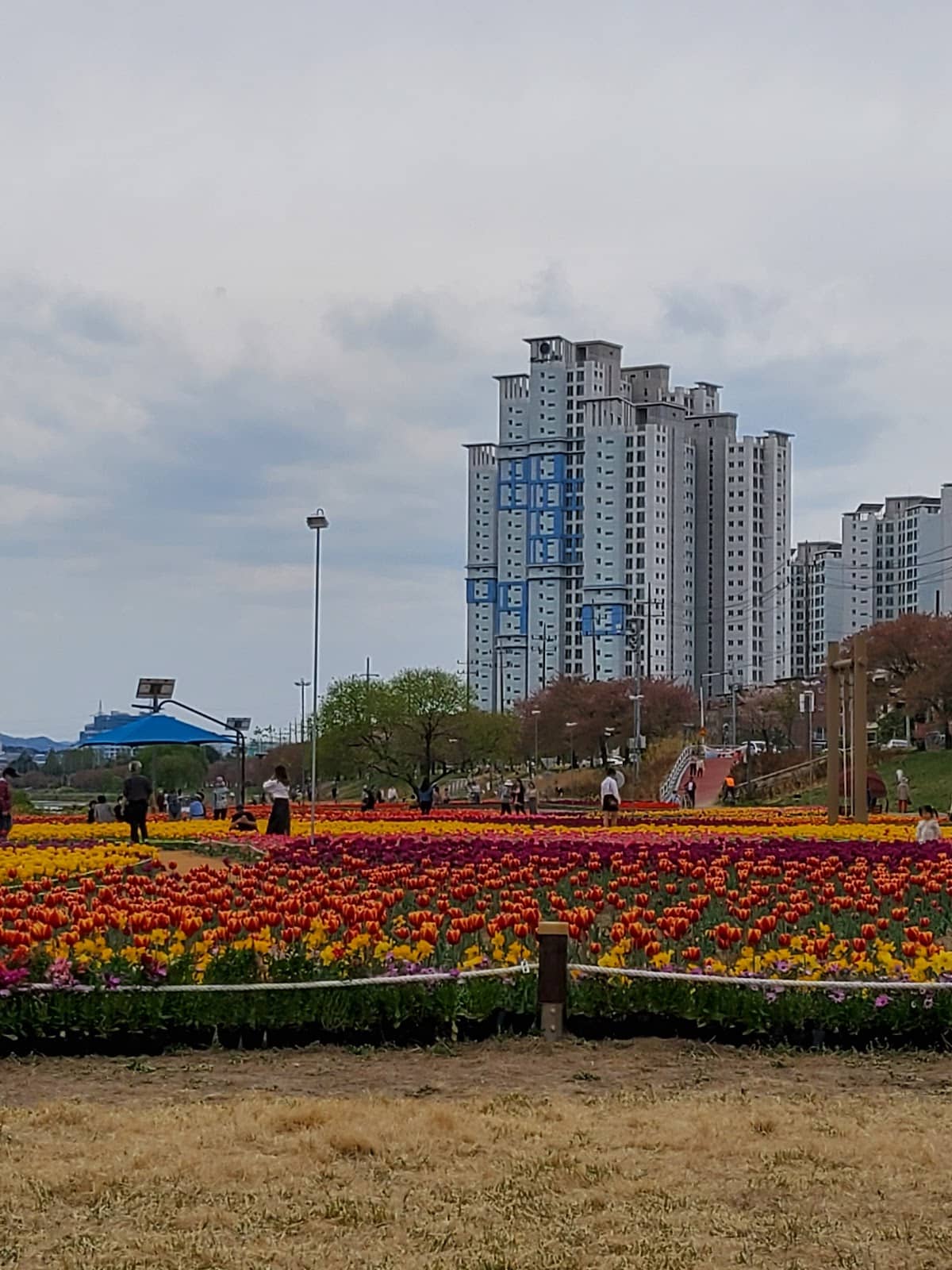 Reed Gardens & Wetlands