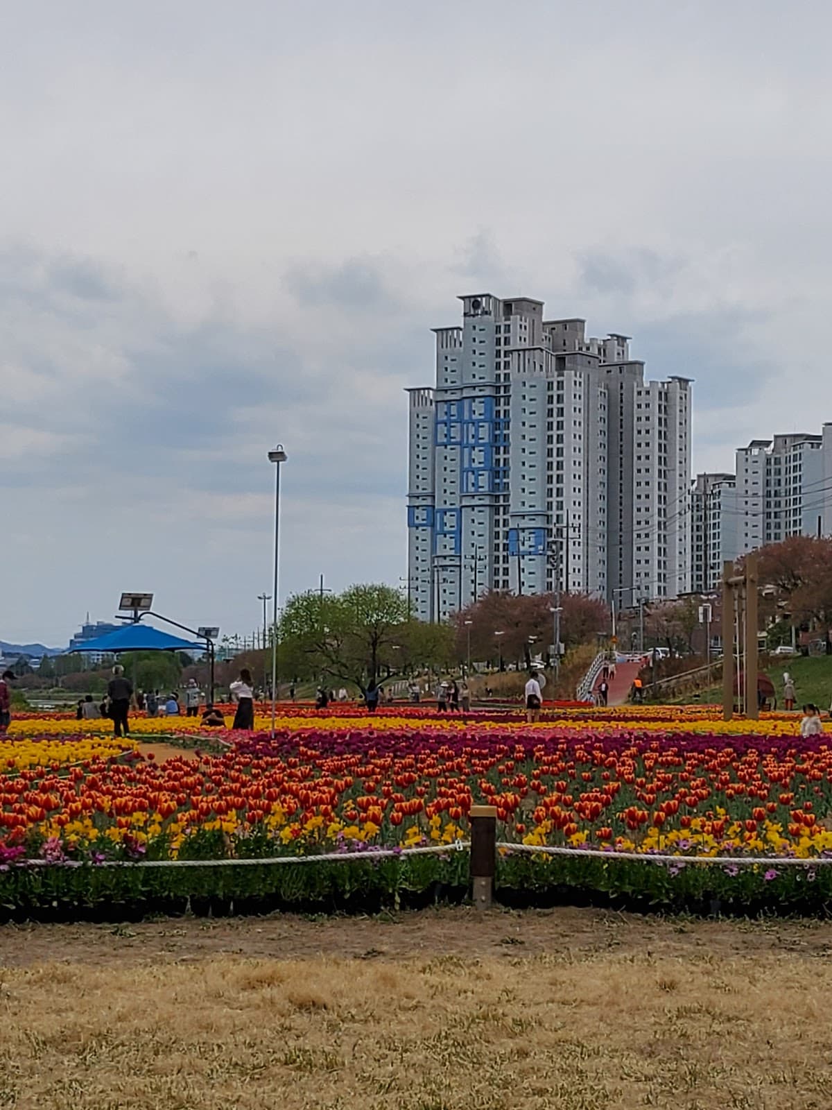 Gapcheon Riverside Park - Image 1