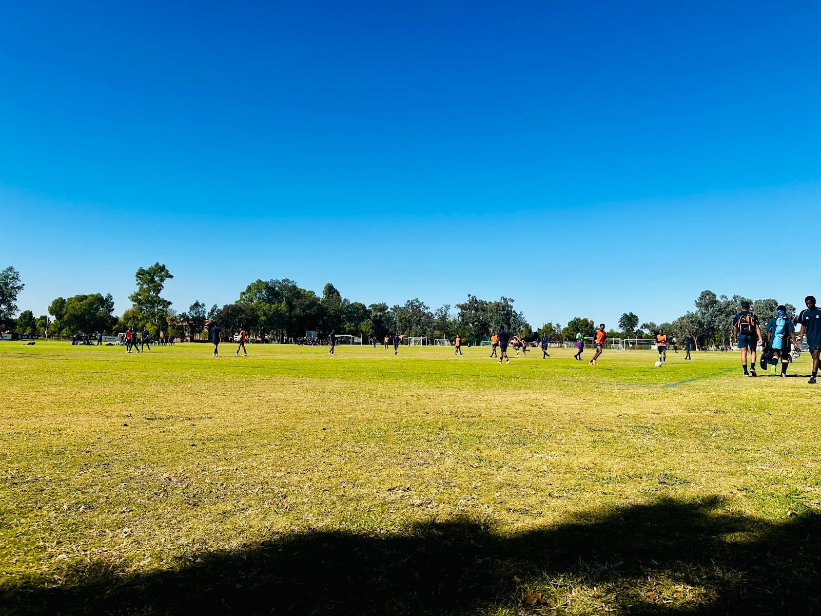 Grey College Campus - Image 1