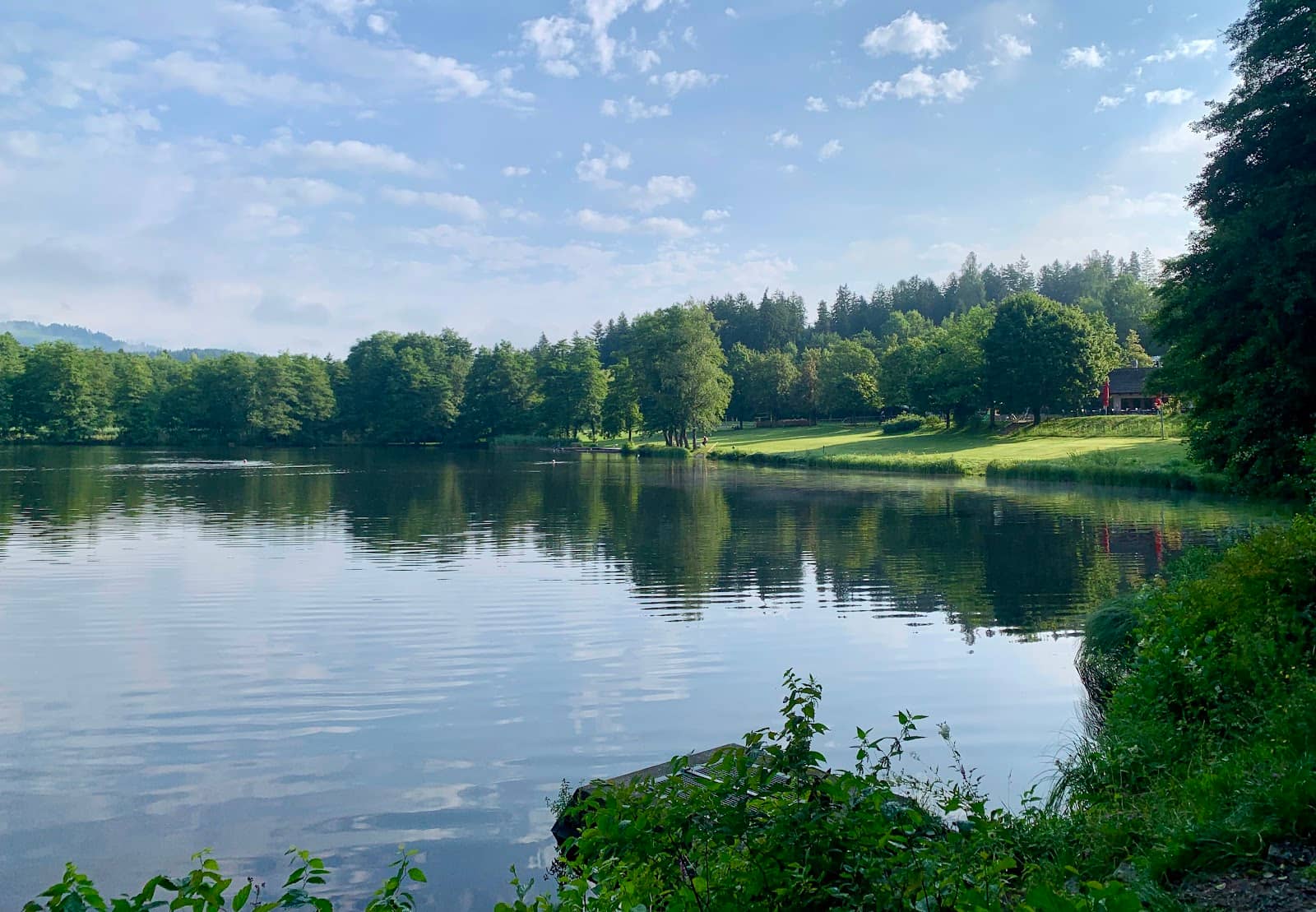 Pristine Meadows