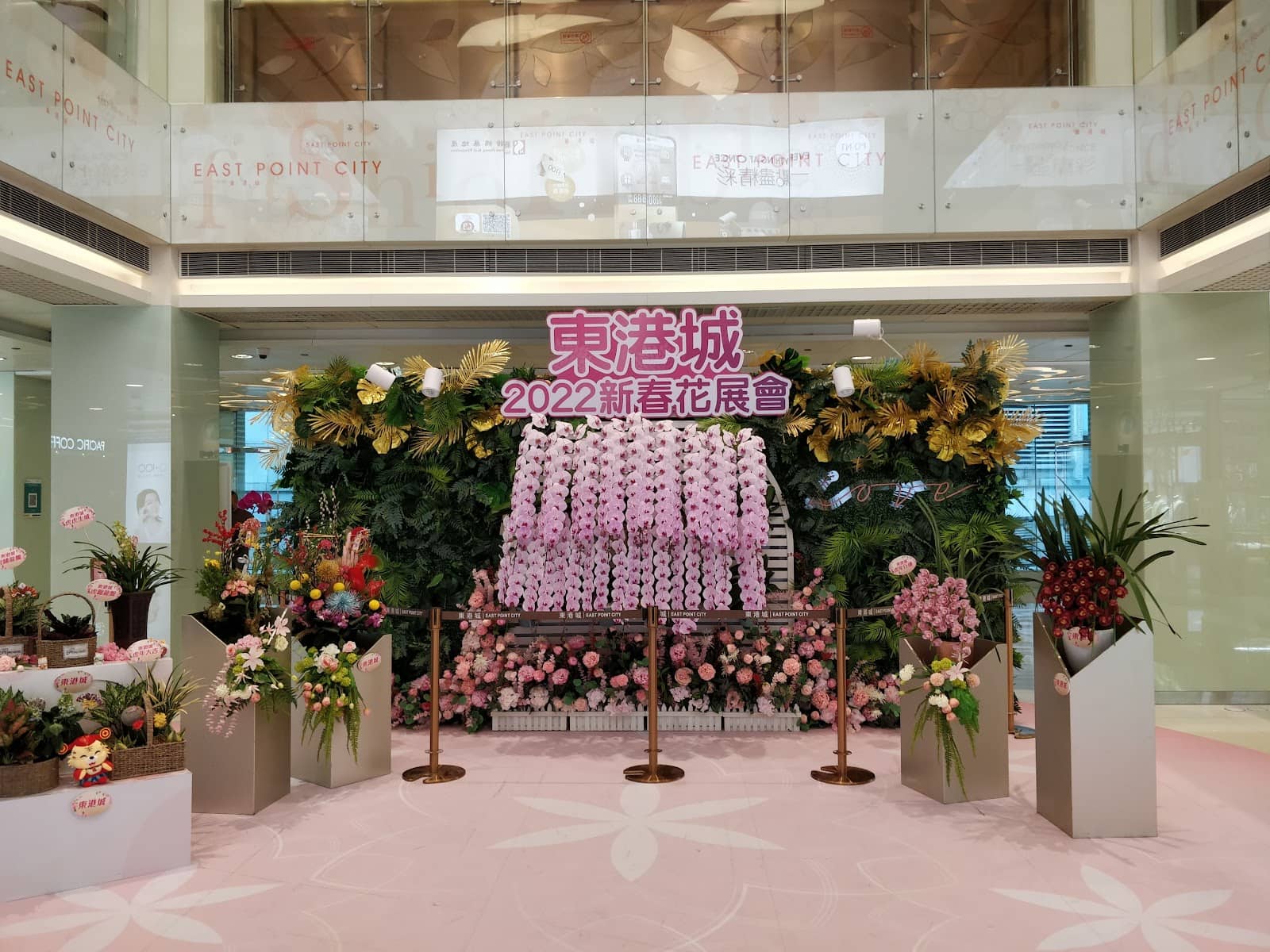 Multifunctional Services