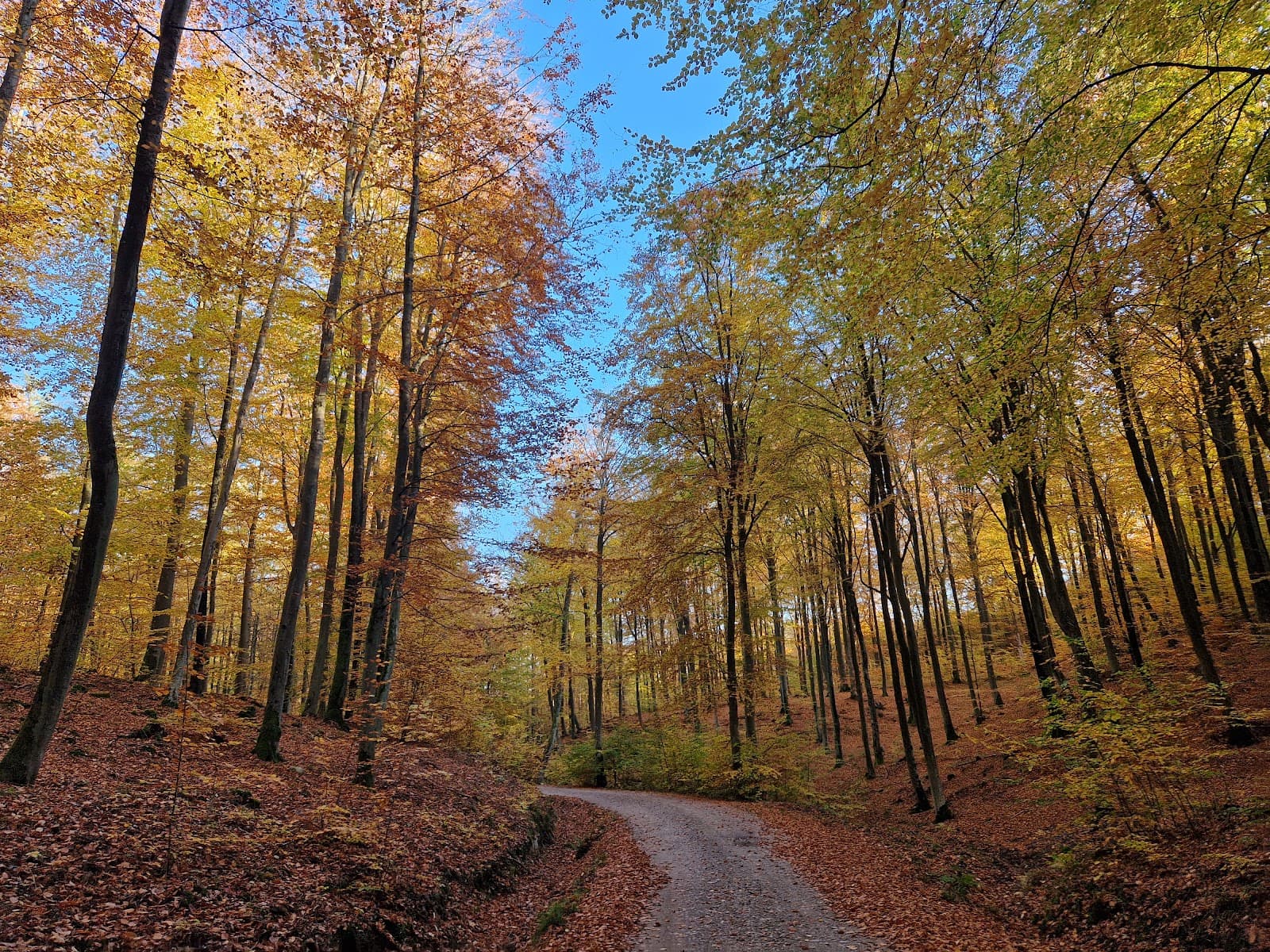 Tricity Landscape Park - Image 1