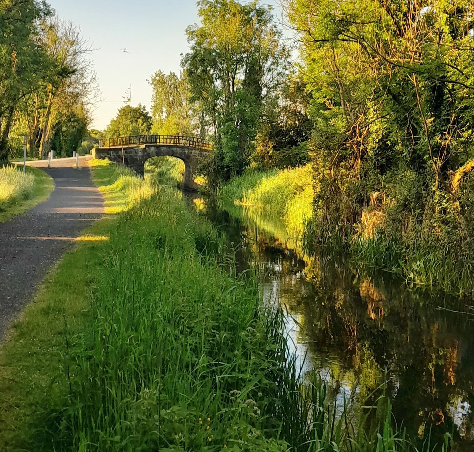 Royal Canal Aqueduct Leixlip - Image 1