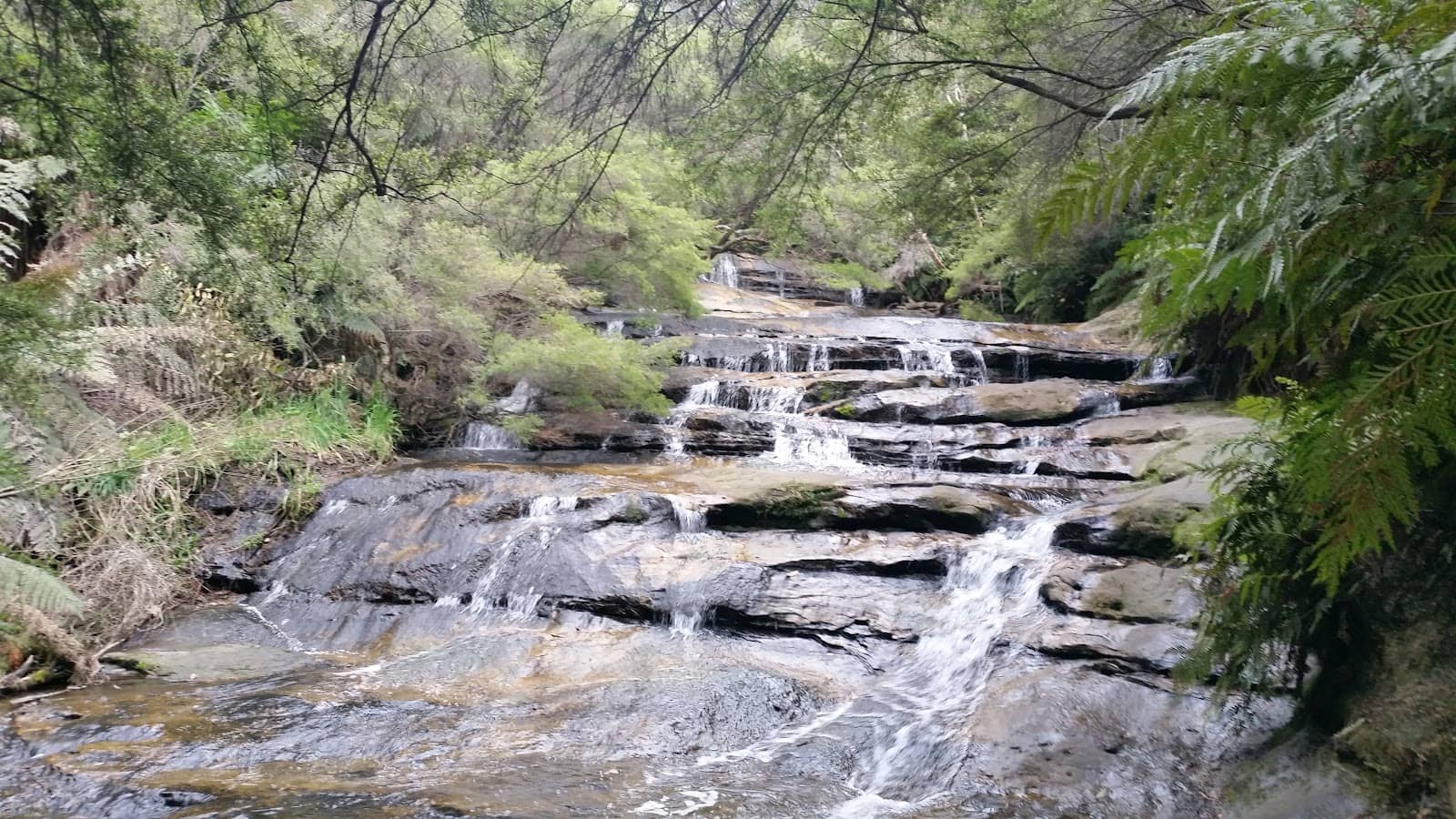 Leura Cascades Walk