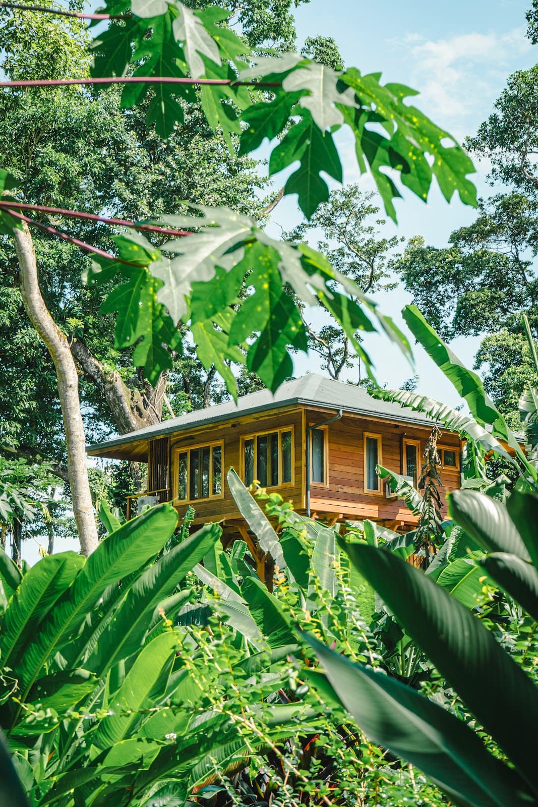 Carenero Point (surf) - Image 1