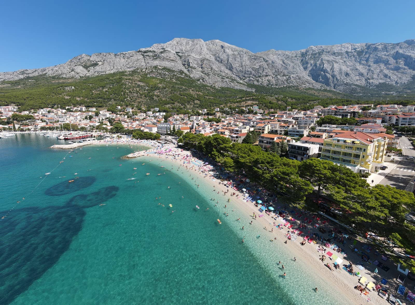 Vibrant Beachfront Promenade