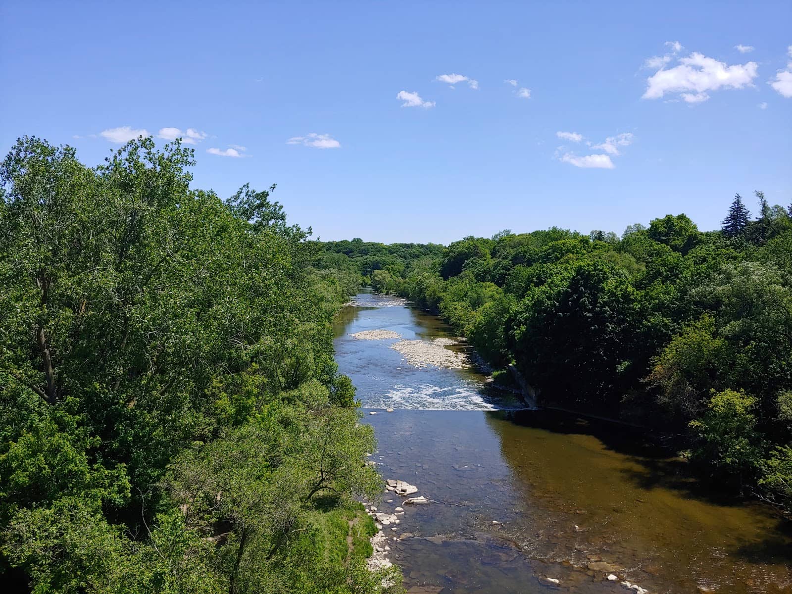 Autumn Foliage Walks
