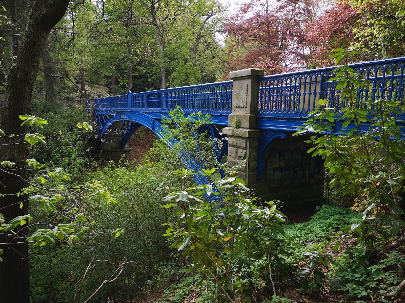 Balgay Park Dundee - Image 1