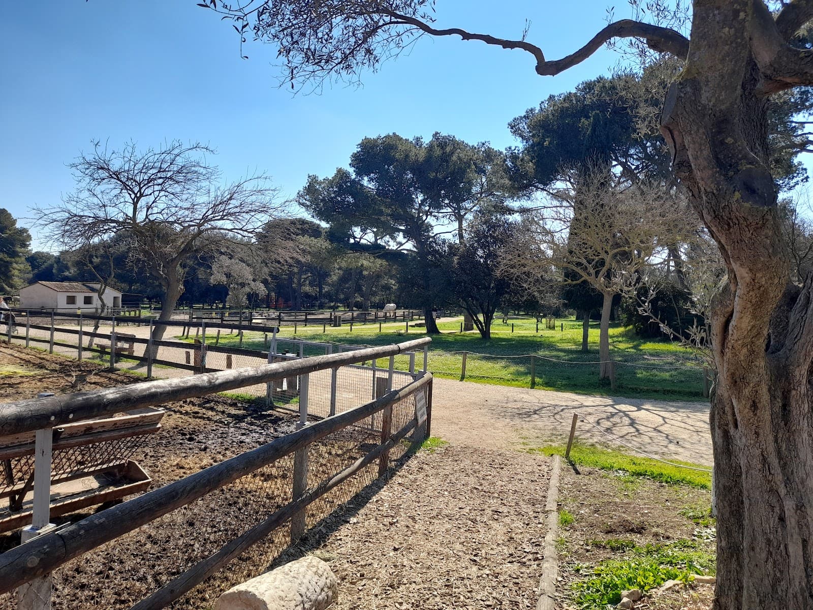 Figuerolles Farm - Image 1