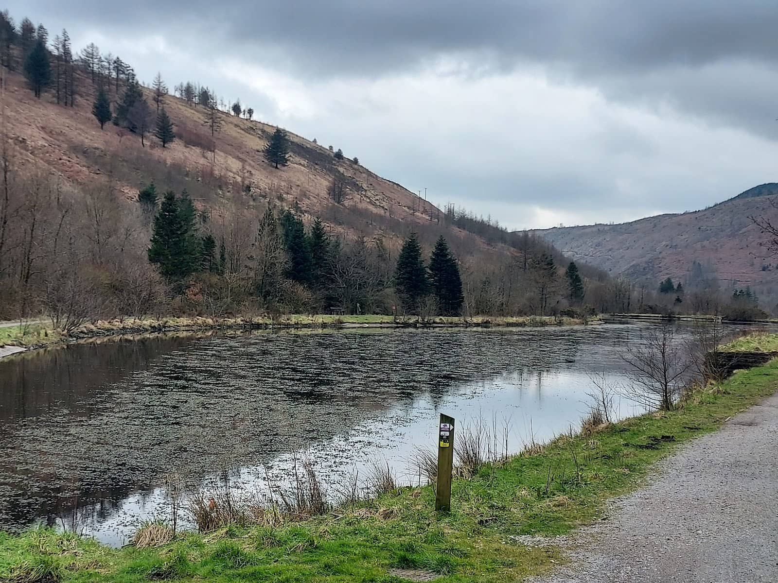 Scenic Walking Trails