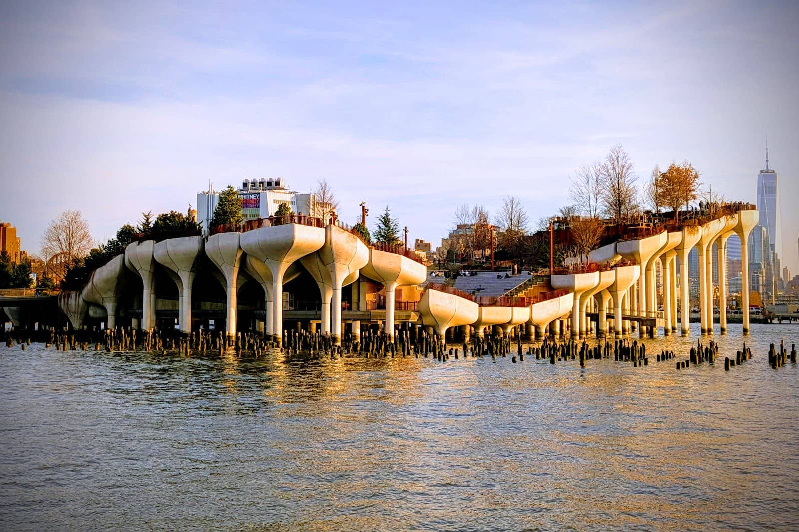 Wine Tasting & Vineyard Views