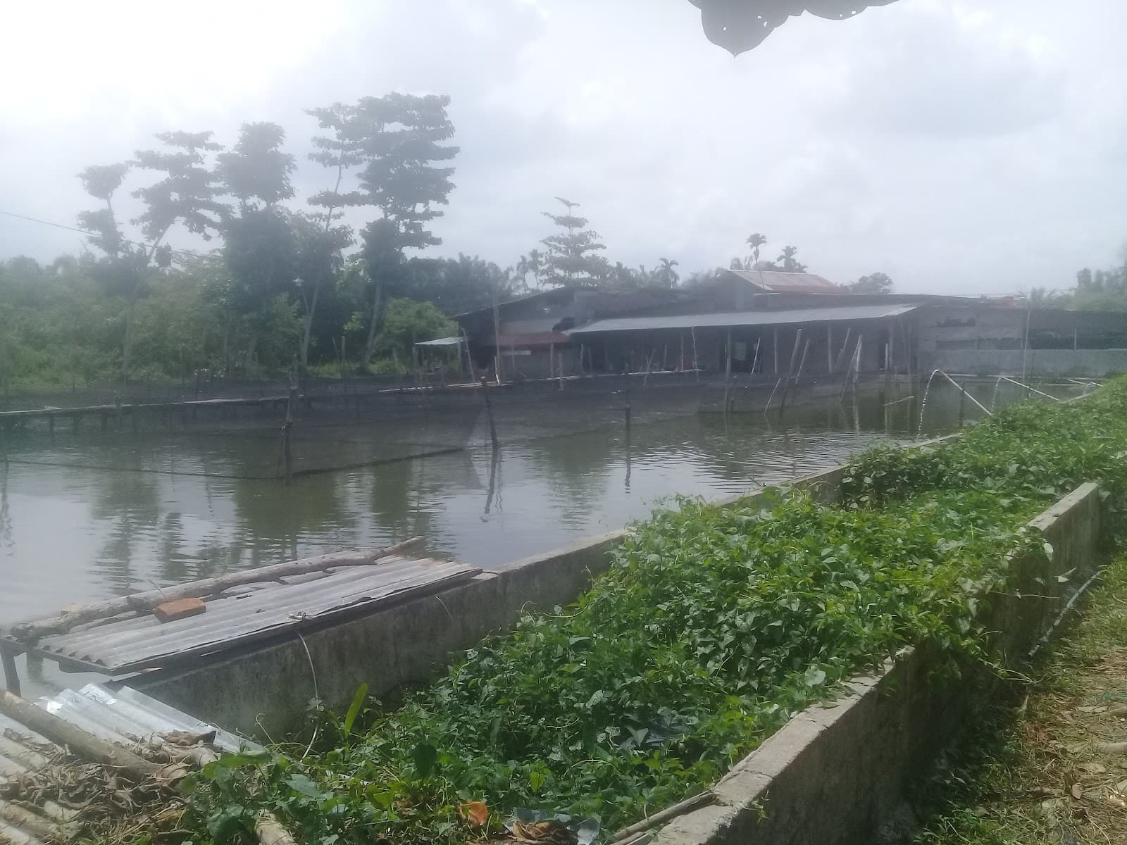 Okura Village - Image 1