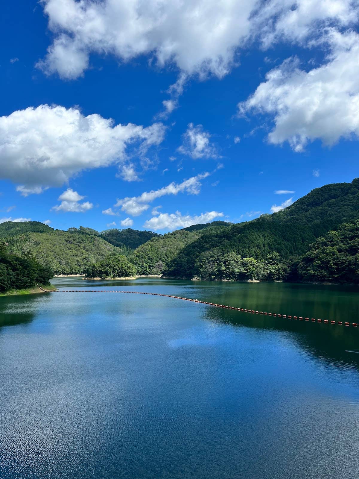 Lake Yubara's Misty Mornings