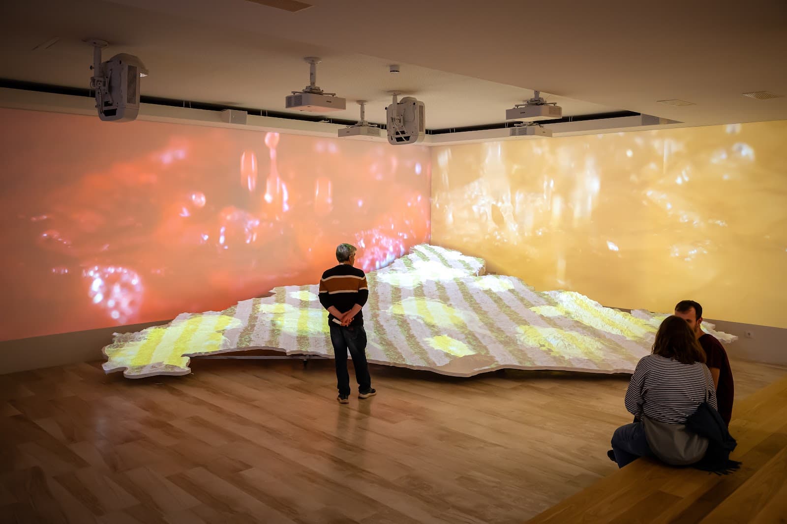 Vilafranca del Penedès (VINSEUM) - Image 1