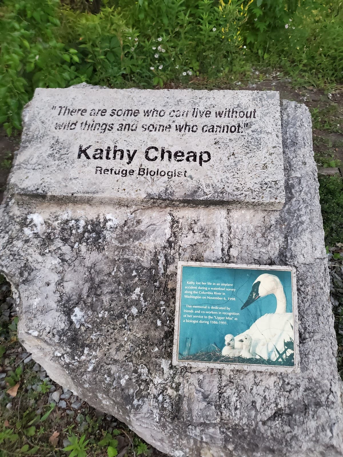 Upper Mississippi River NWR: Weaver Bottoms - Image 1