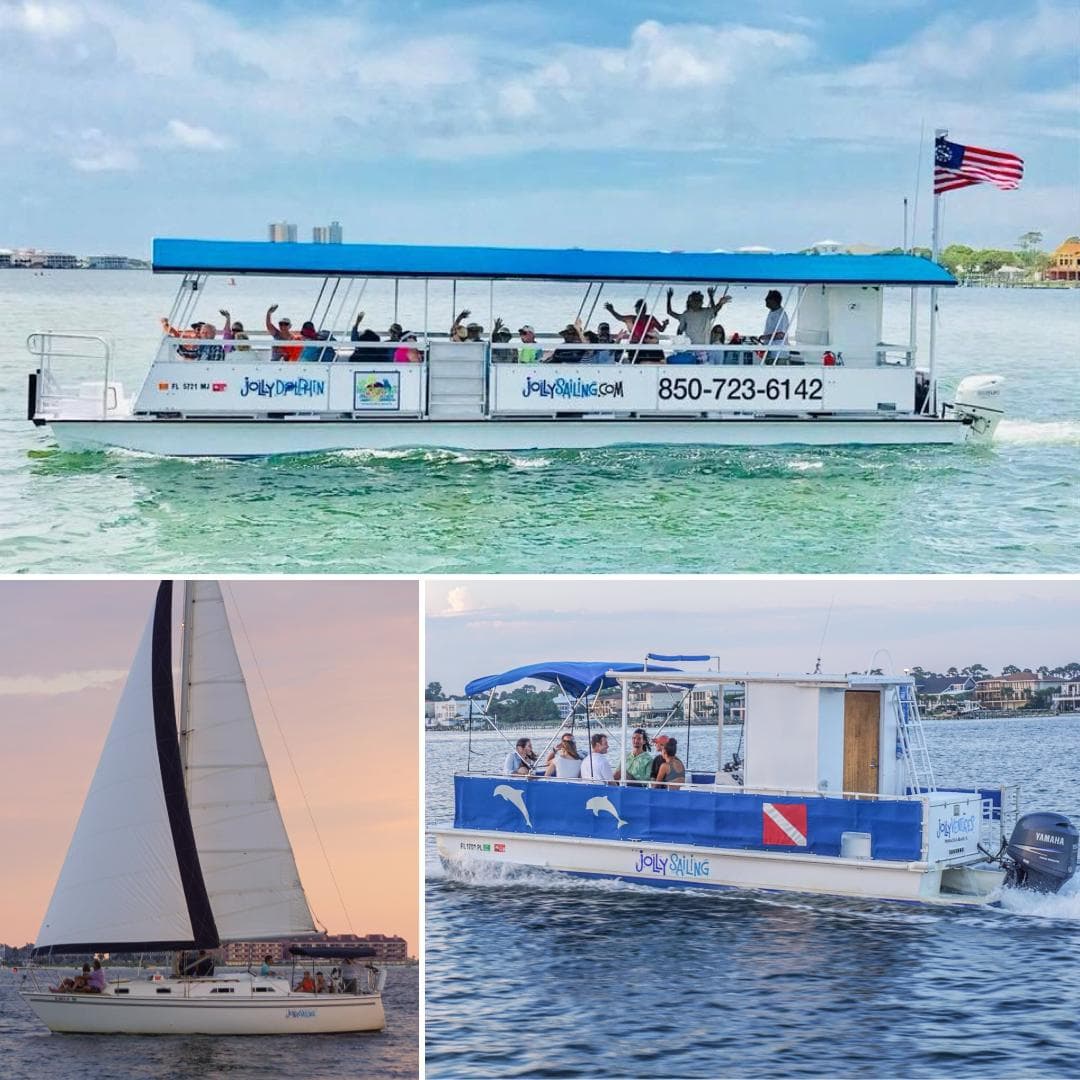 Dolphin Cruises Pensacola Florida - Image 1