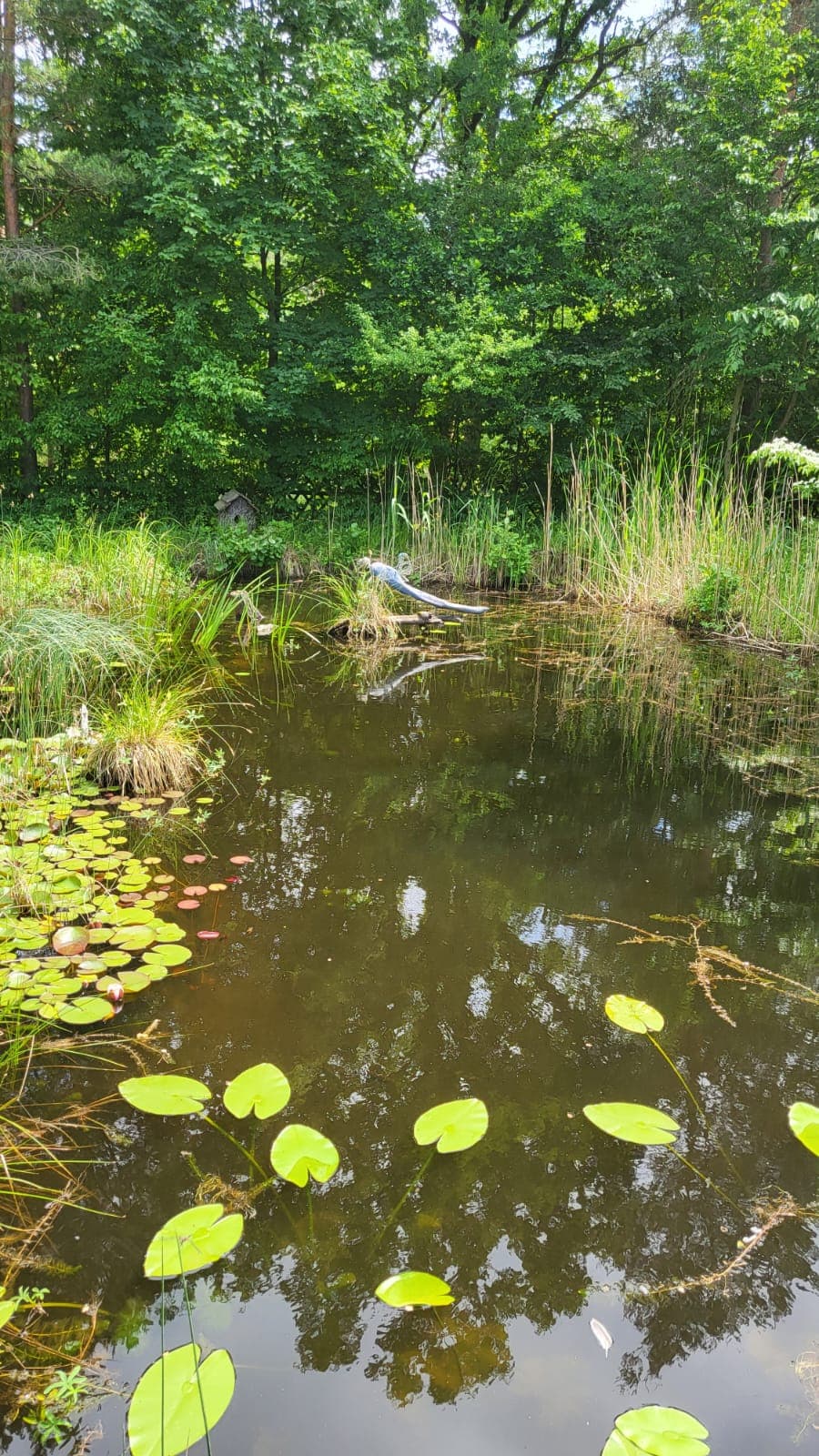 Middle Elbe Biosphere Reserve - Image 1