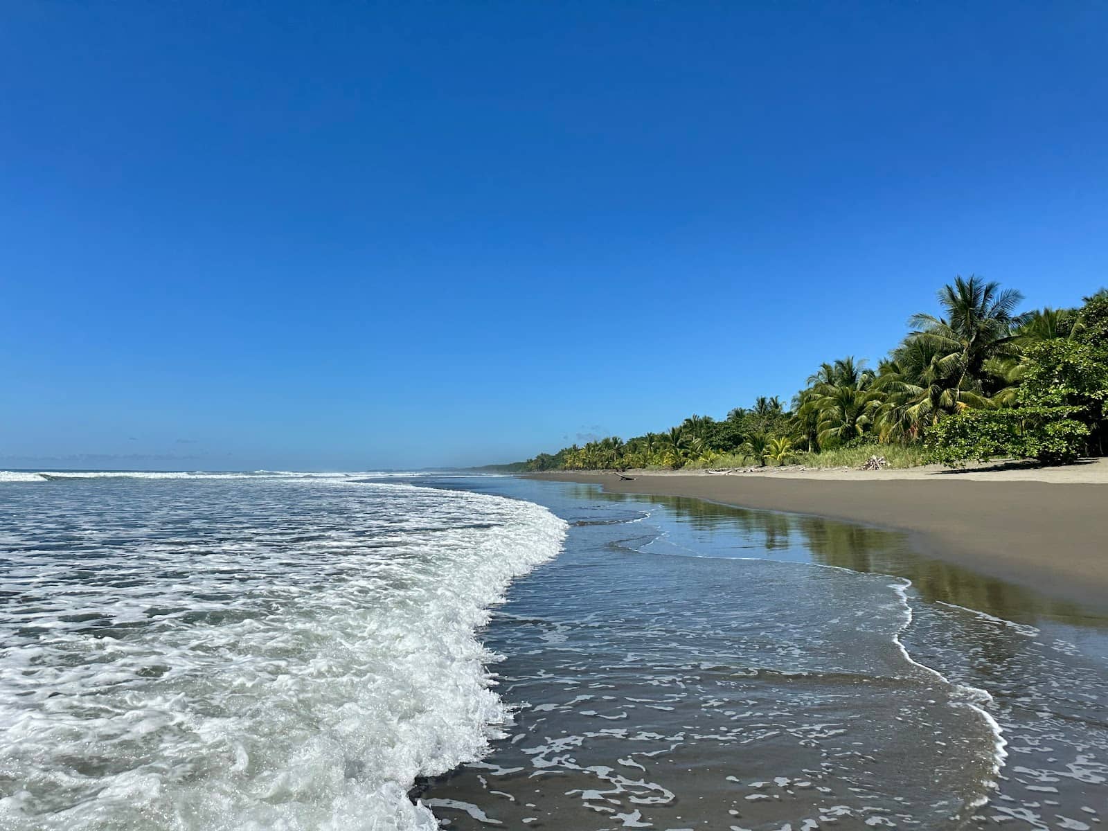 Surfing and Wading Haven