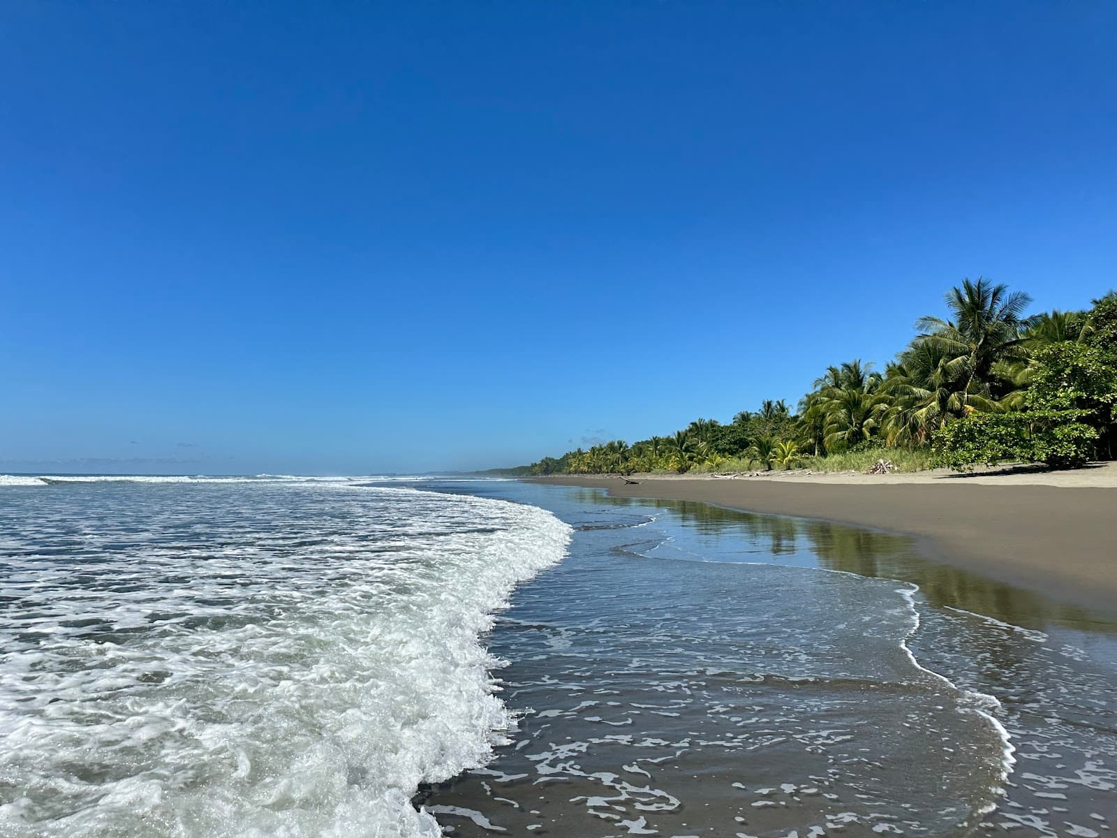 Playa Matapalo (Savegre) - Image 1
