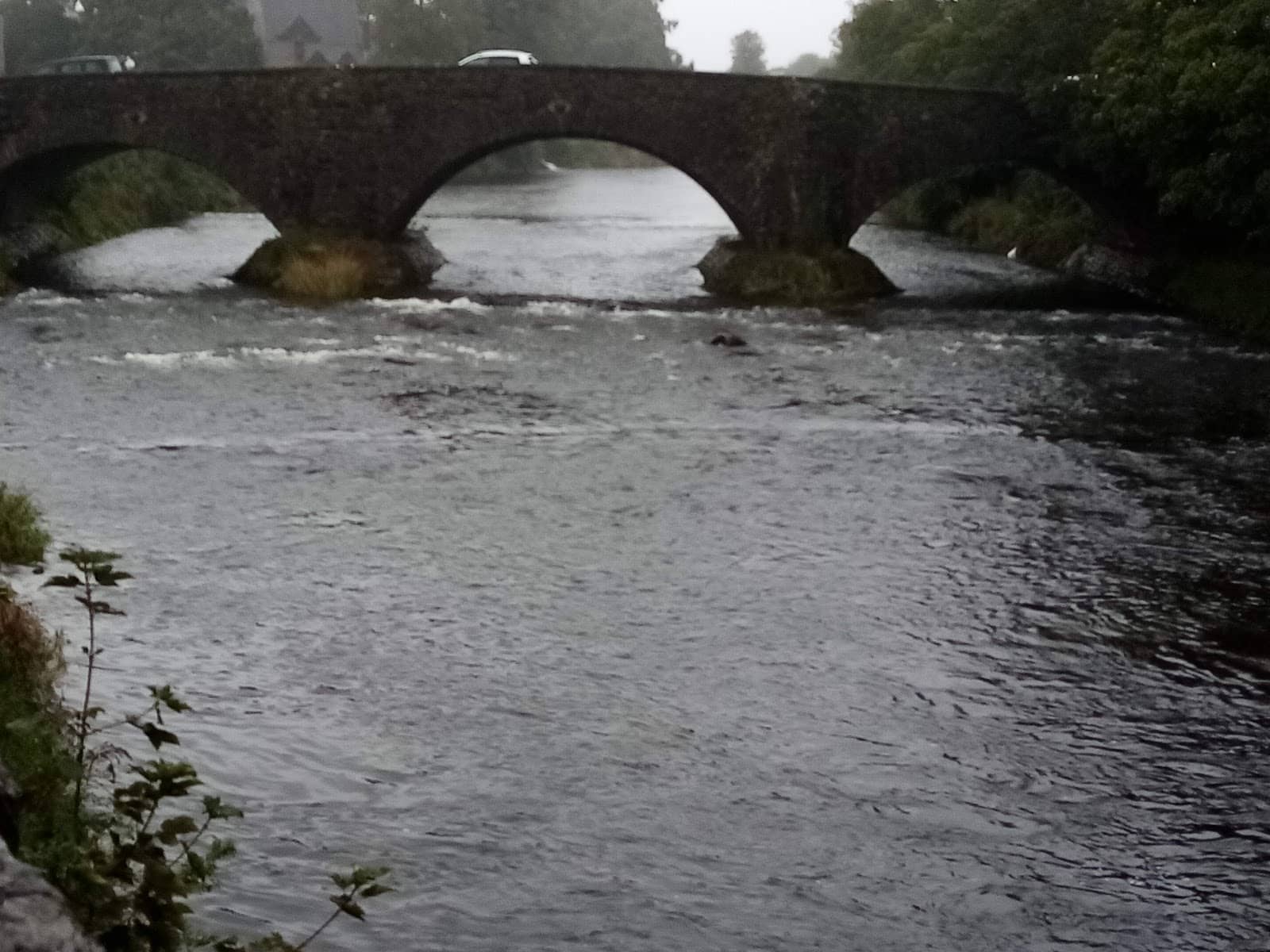 The Classic Nether Bridge