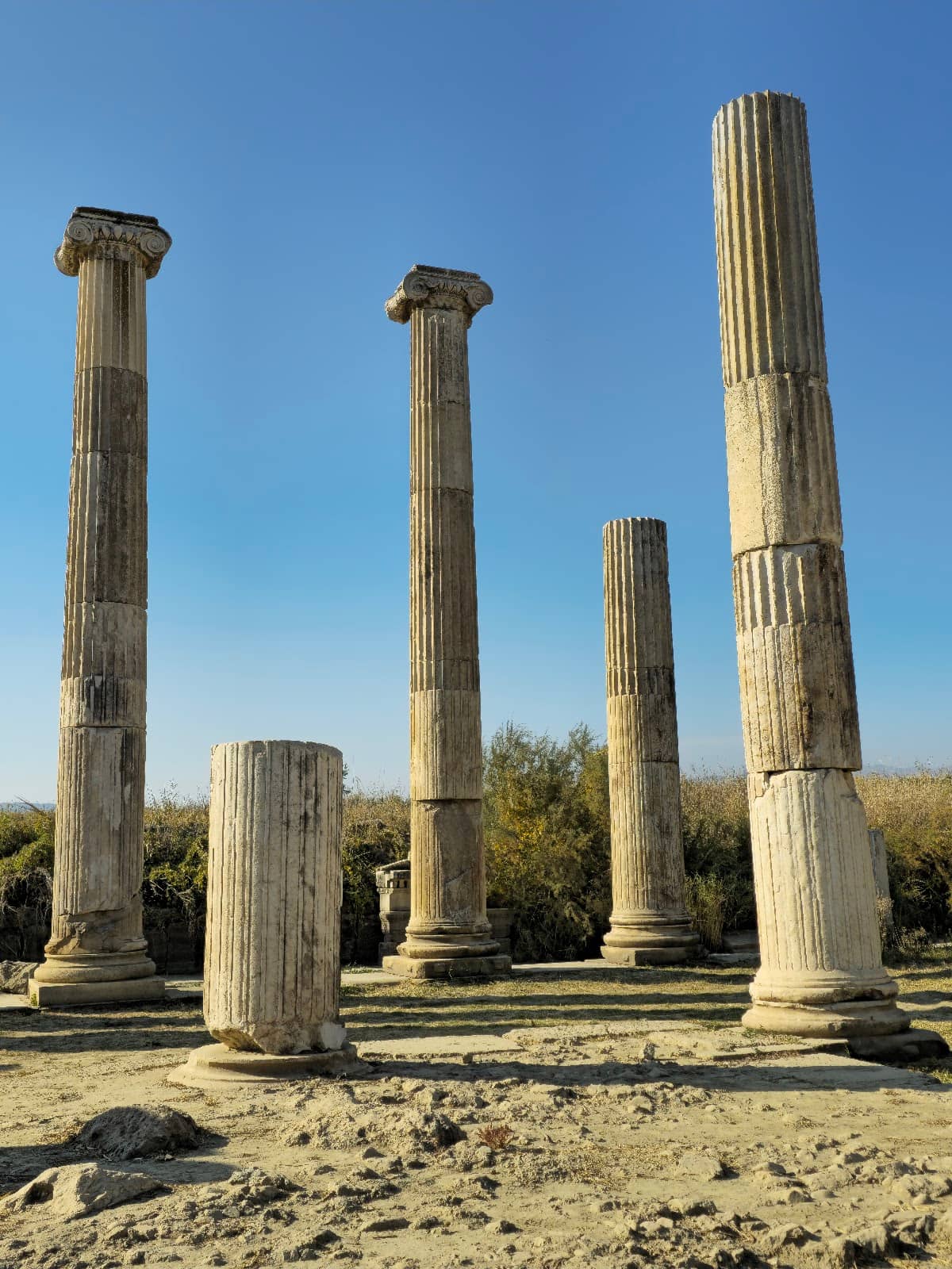 Peaceful Archaeological Site