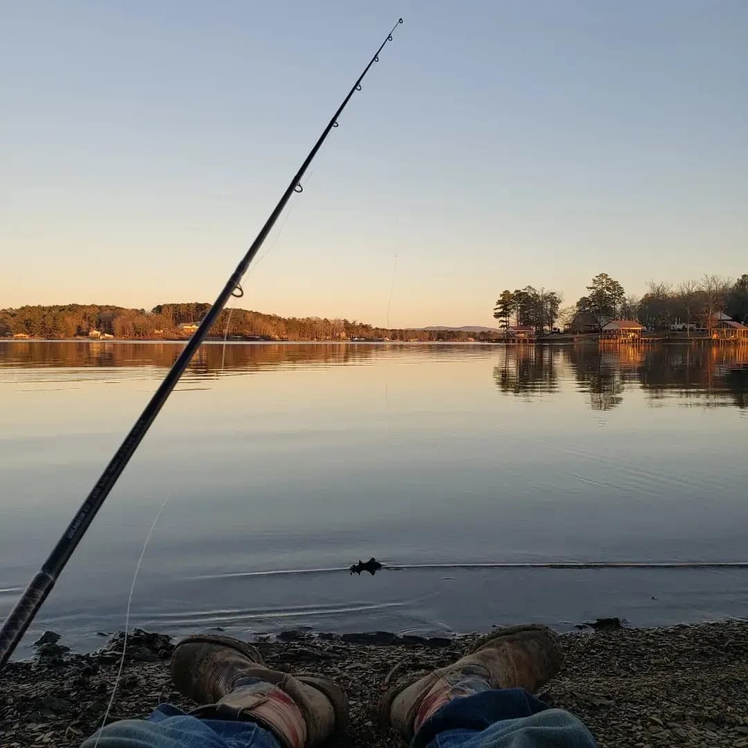 Weiss Lake - Image 1