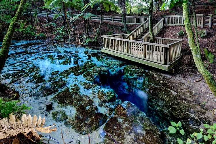 Hamurana Springs Rotorua - Image 1