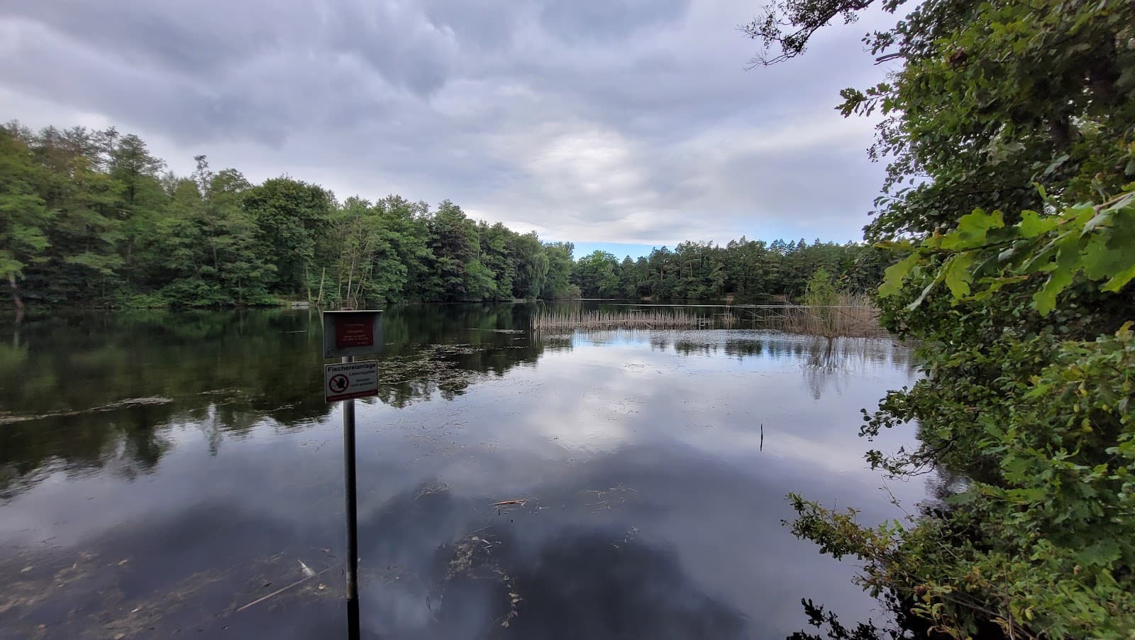 Pingsdorfer See - Image 1