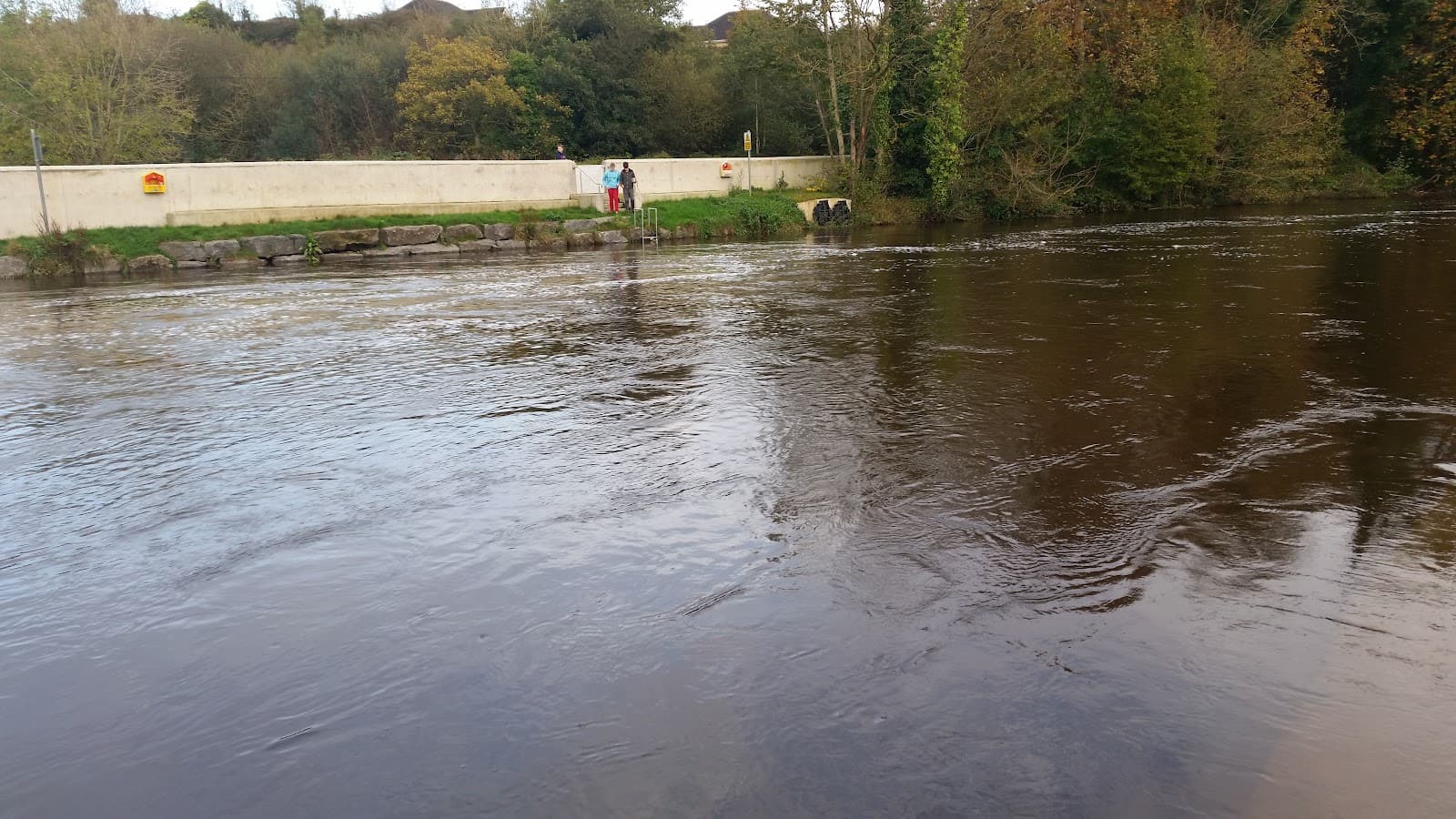 Weir on the River Nore - Image 1