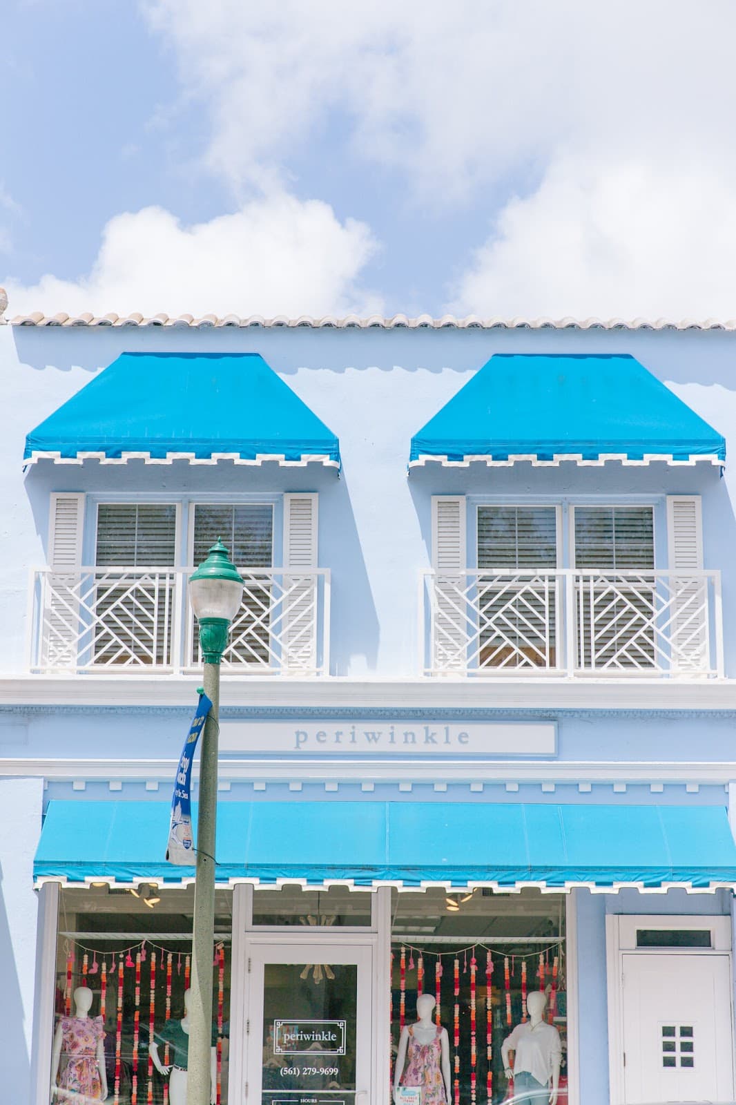 The Periwinkle - Image 1