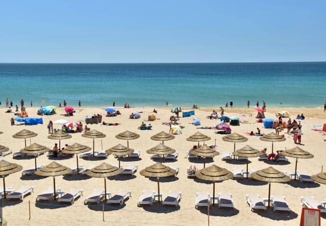 Beachfront Dining & Picnics