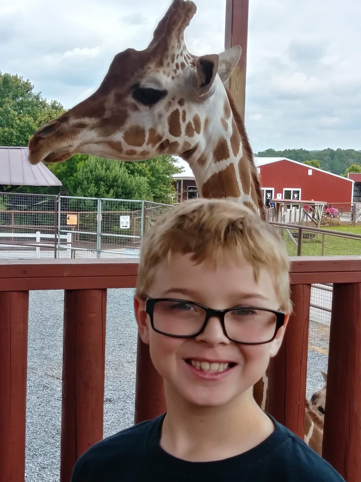 Brights Zoo - Image 1