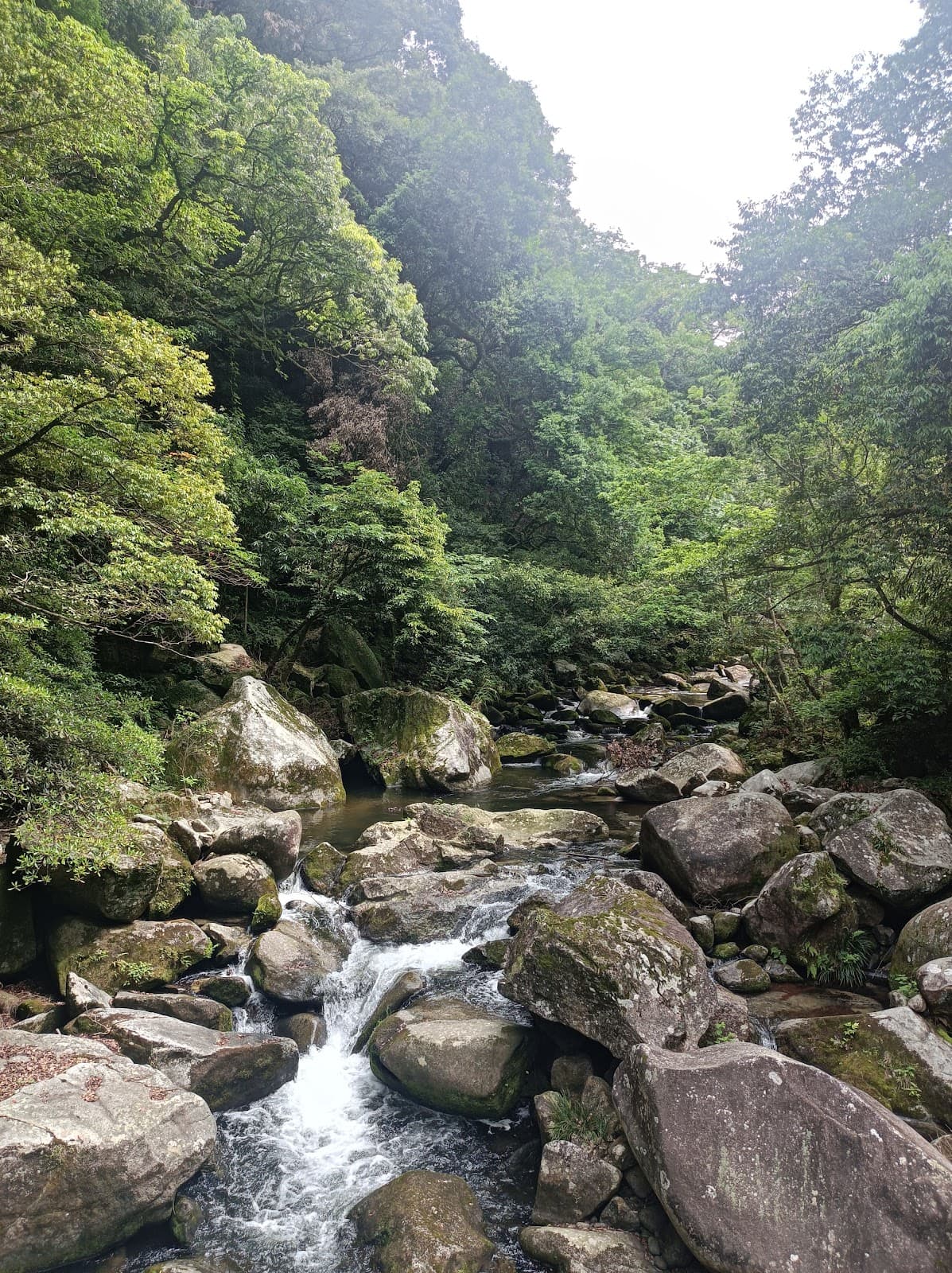Sefuri Raizan Prefectural Natural Park - Image 1