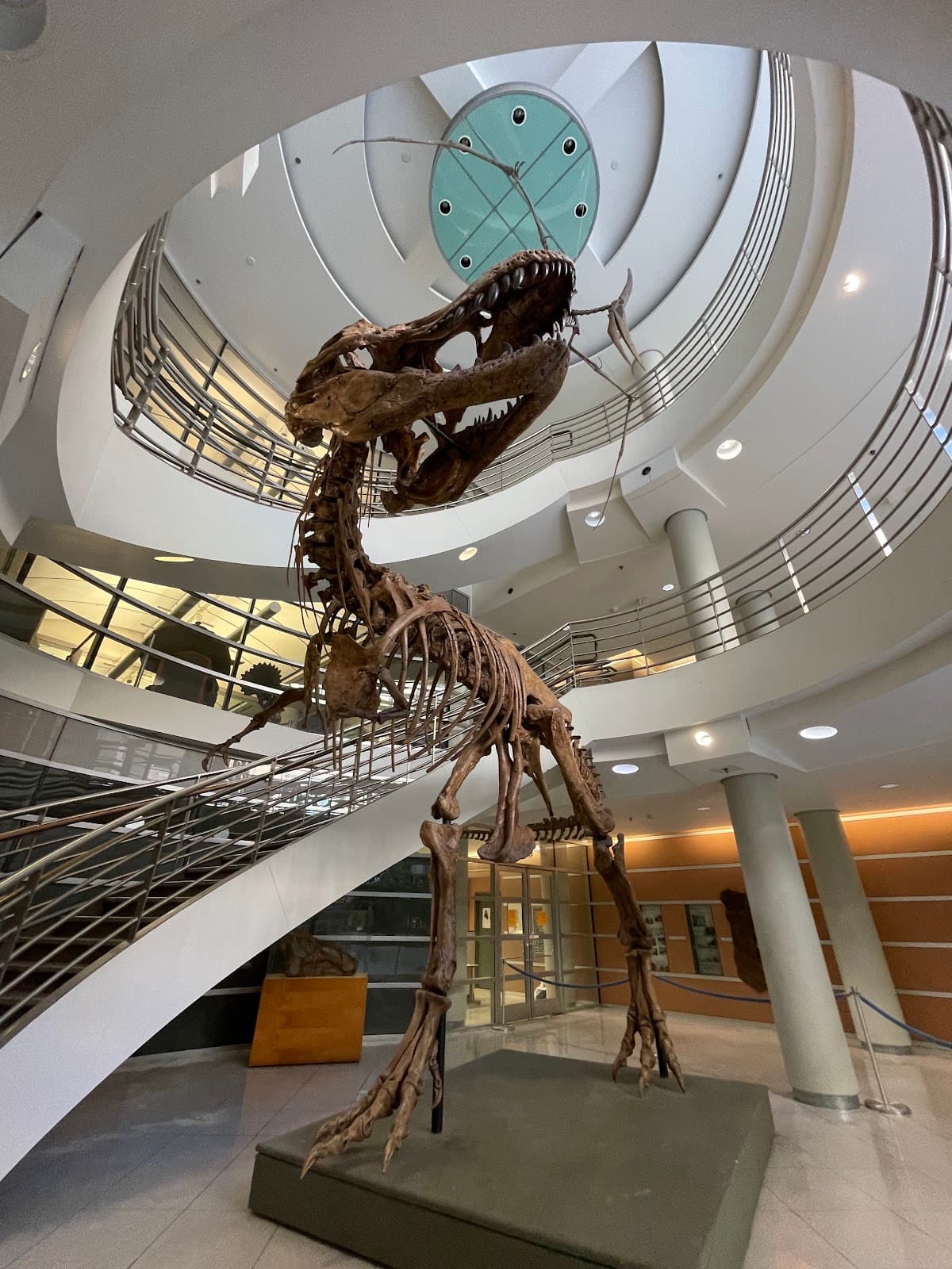 Museum of Zoology - Image 1