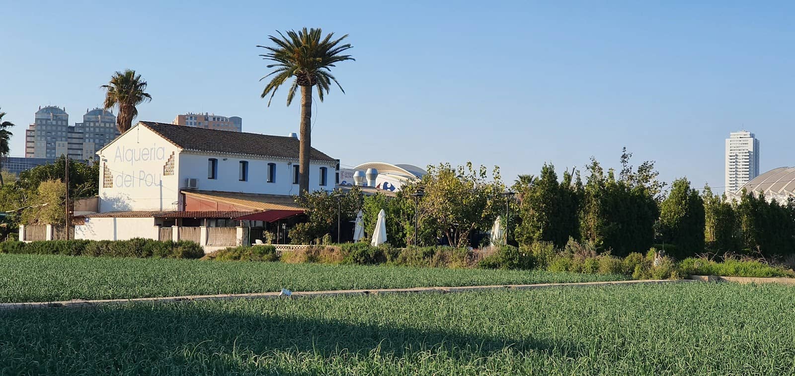 La Barraca de Toni Montoliu