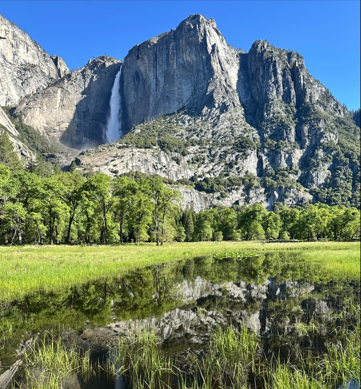 Cook's Meadow - Image 1