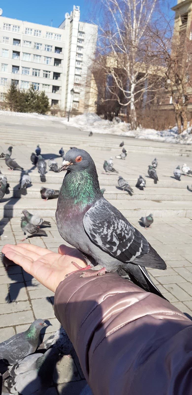 Sibrevcom Building - Image 1