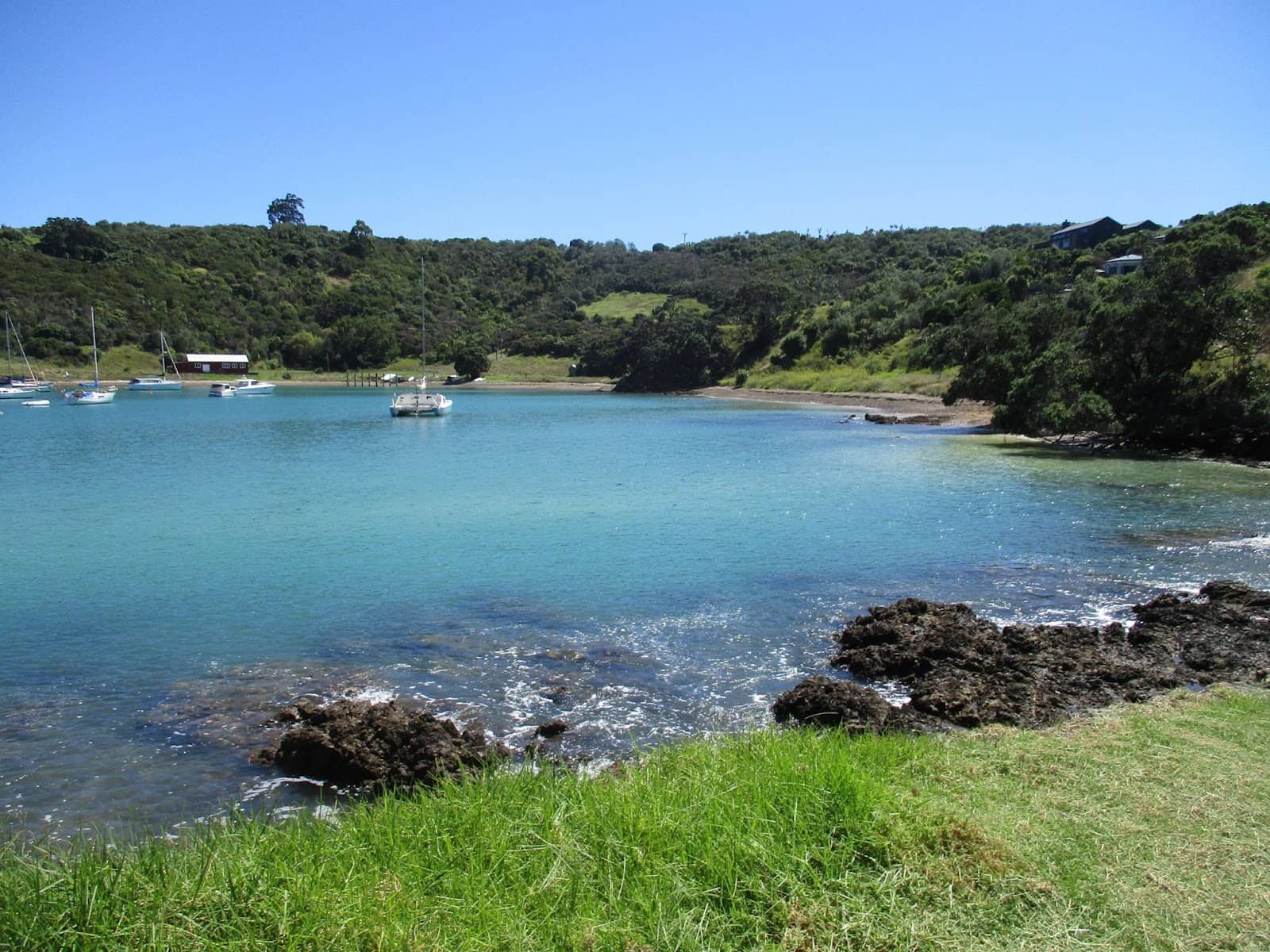 Island Direct Ferry Service