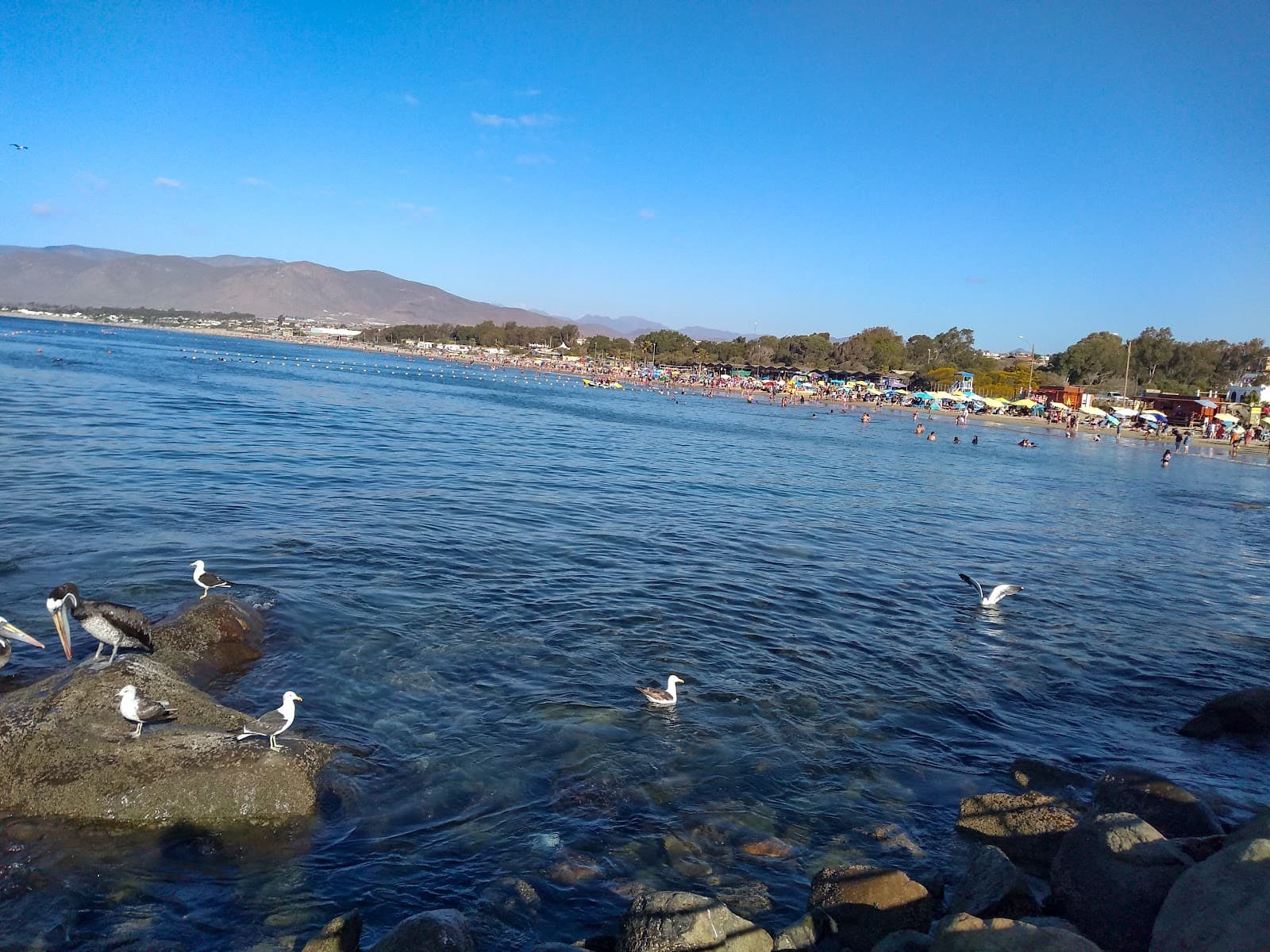 Caleta Guanaqueros - Image 1