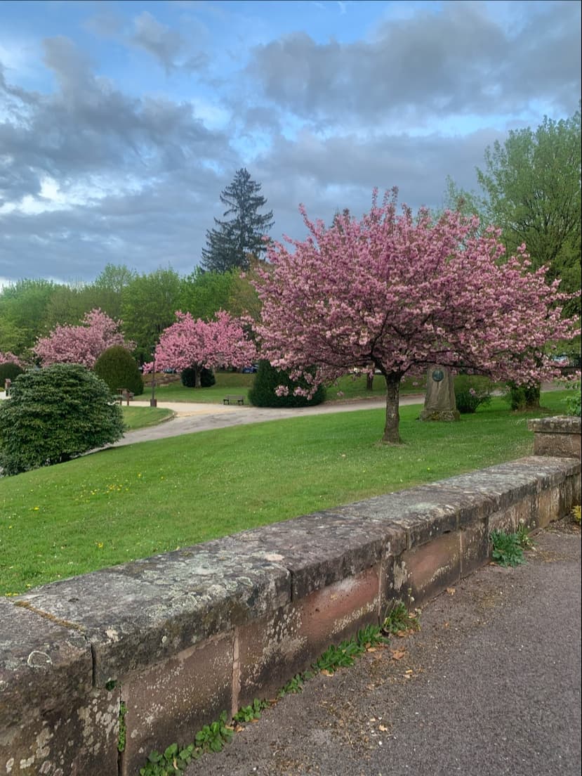 Parc des Thermes (Challes-les-Eaux) - Image 1
