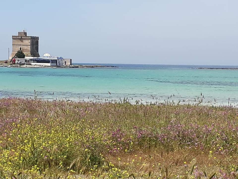 Scalo di Furno Archaeological Site - Image 1