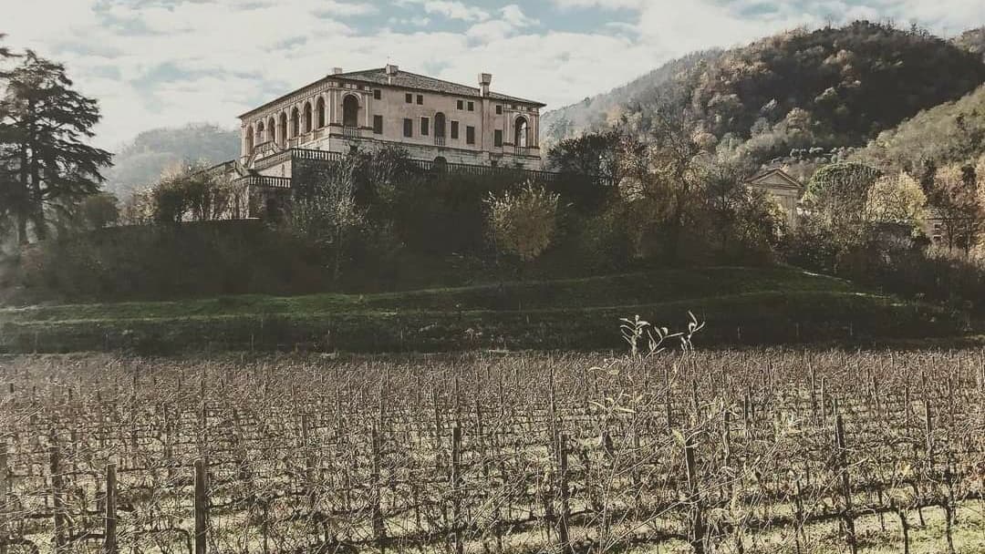 Villa dei Vescovi (FAI) - Image 1