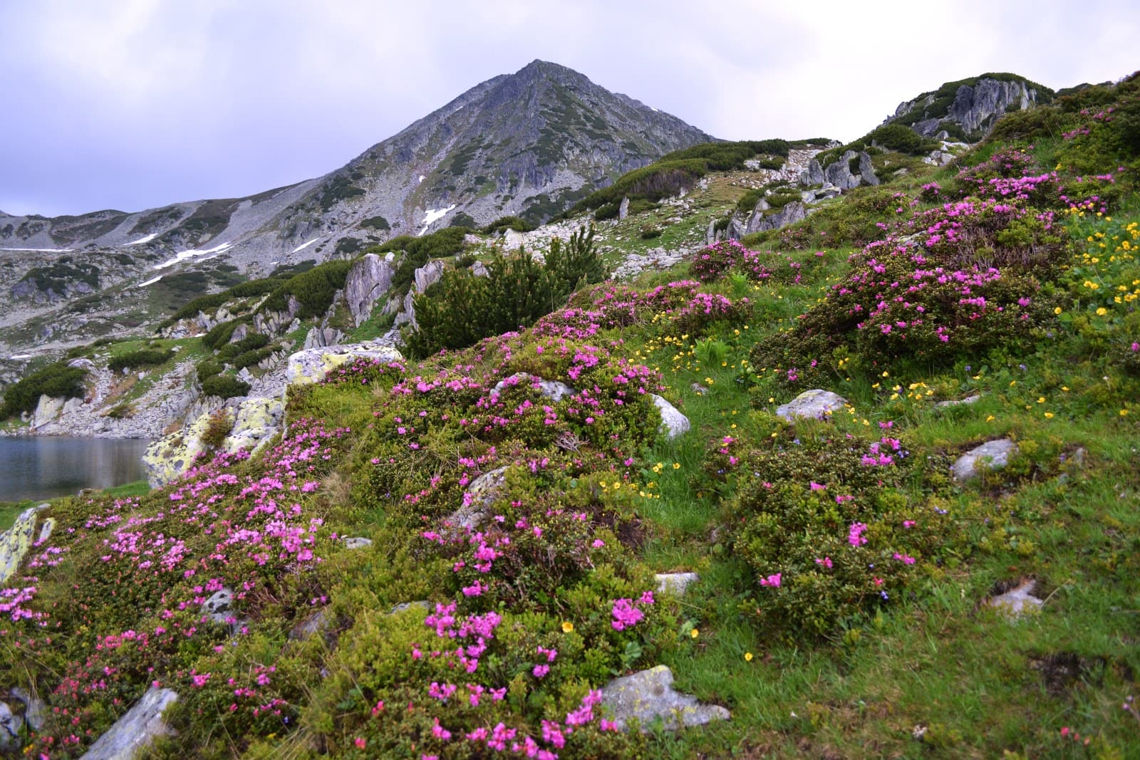 Retezat National Park - Image 1