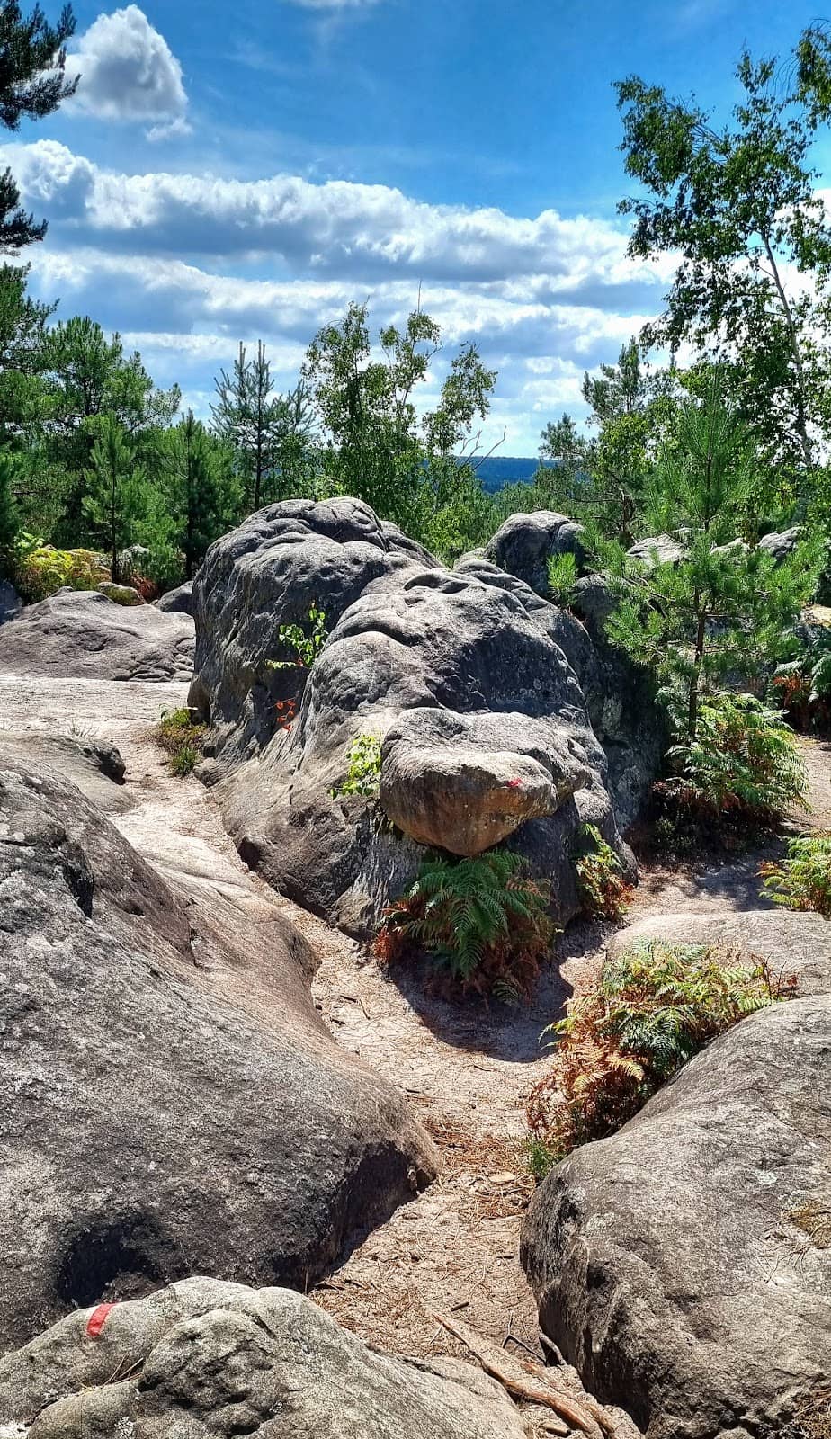 Family-Friendly Boulders