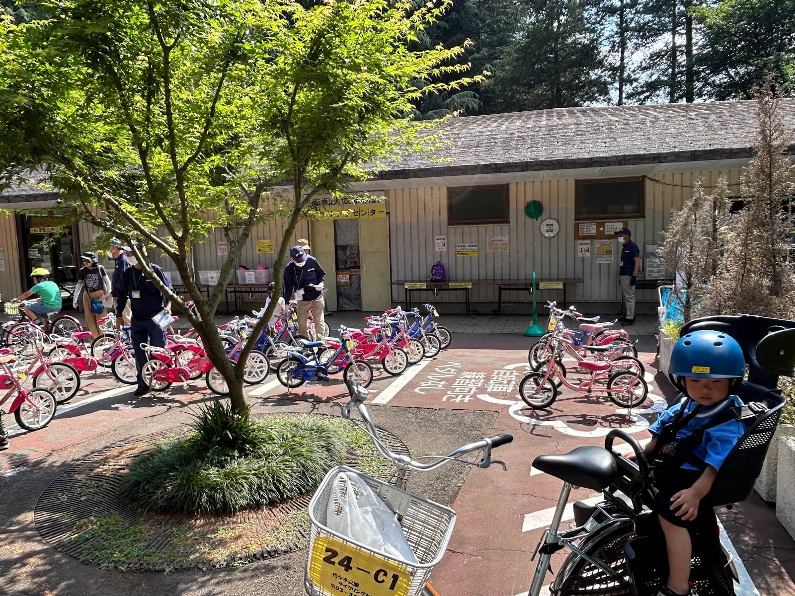 Dedicated Cycling Paths